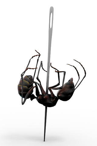 dead-ant-dreamstime_xs_9295002 dead-ant-dreamstime_xs_9295002